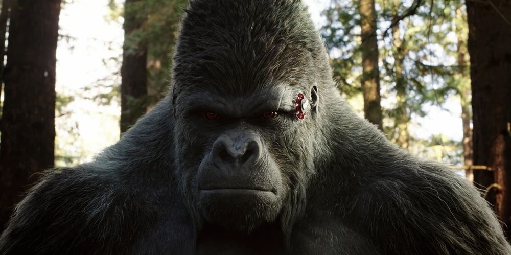Gorilla Grodd