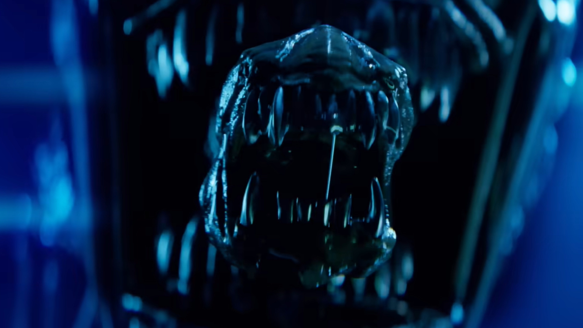 The xenomorph in Alien: Earth
