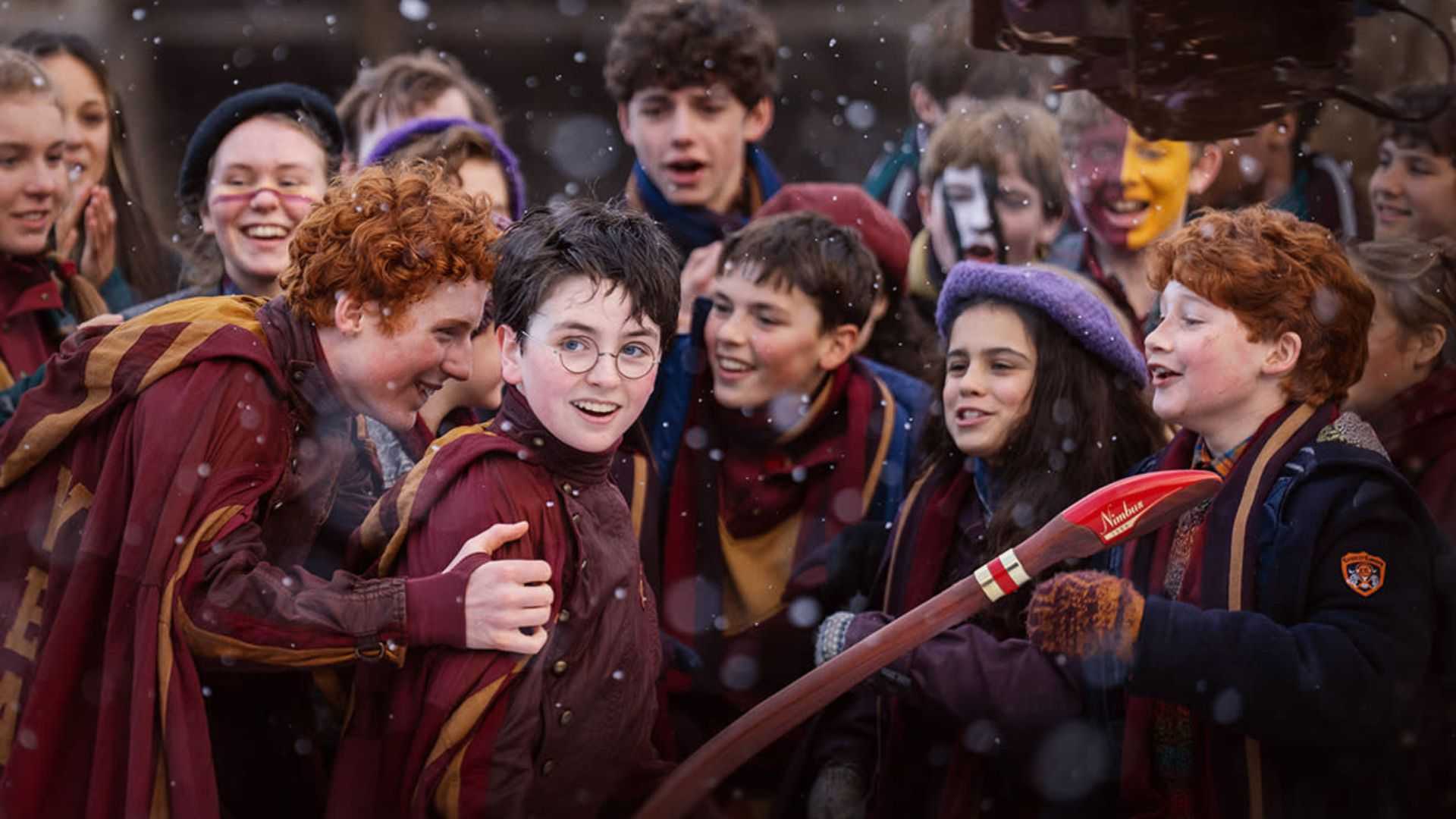 harry-potter-finding-harry-quidditch