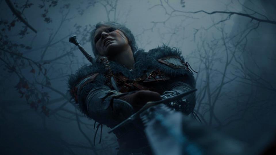 The Witcher 4.